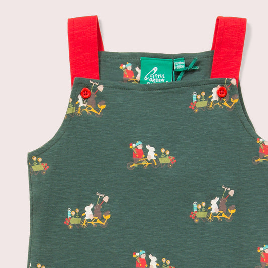 Bottom Of The Garden Storytime Dungaree Shorts