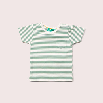 Green Striped Organic Short Sleeve T-Shirt