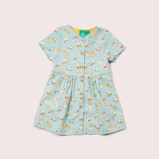 Rainbow Birds Button Through Short Sleeve Dress