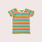 Rainbow Striped Summer Short Sleeve T-Shirt