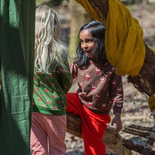 Autumn Foxes Long Sleeve Raglan Sweatshirt