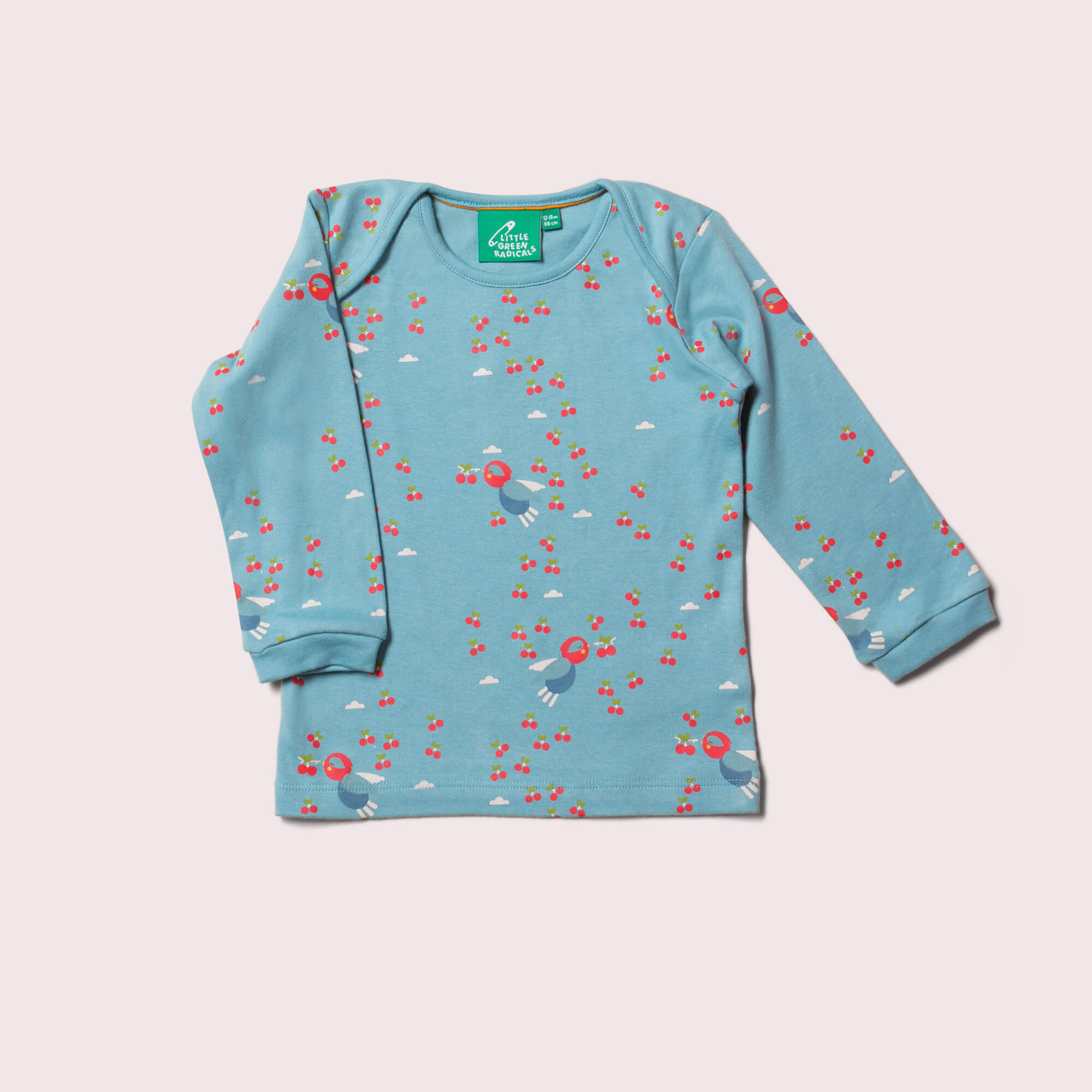 Cherry Blossom Organic T-Shirt & Jogger Playset – Little Green Radicals