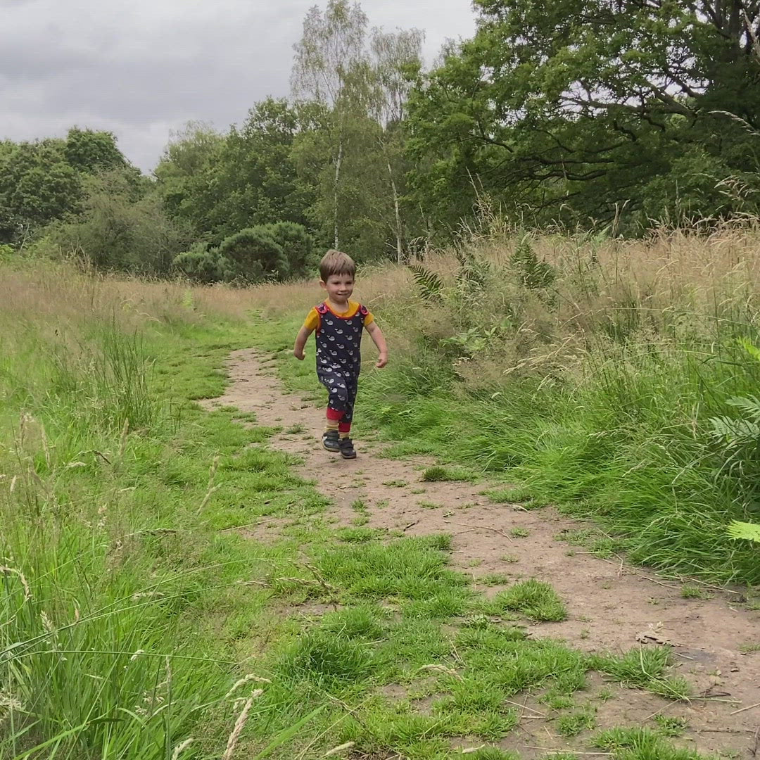 Little-Green-Radicals-Red-and—Blue-Dungarees-With—Whale-Print-Video