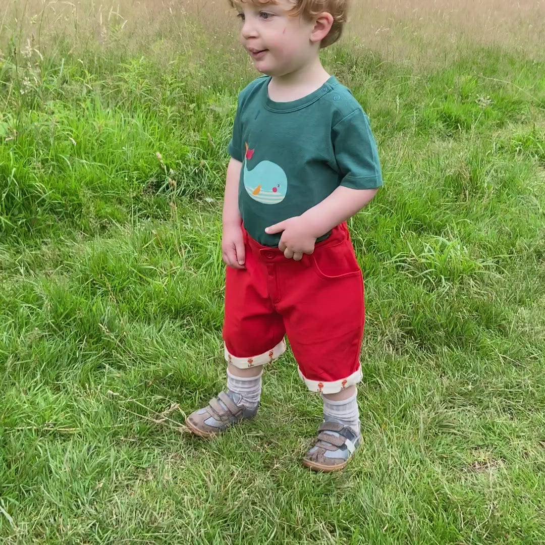 Little-Green-Radicals-Green-And-Blue-Organic-Short-Sleeve-T-Shirt-With-Whale-Print-Vide0