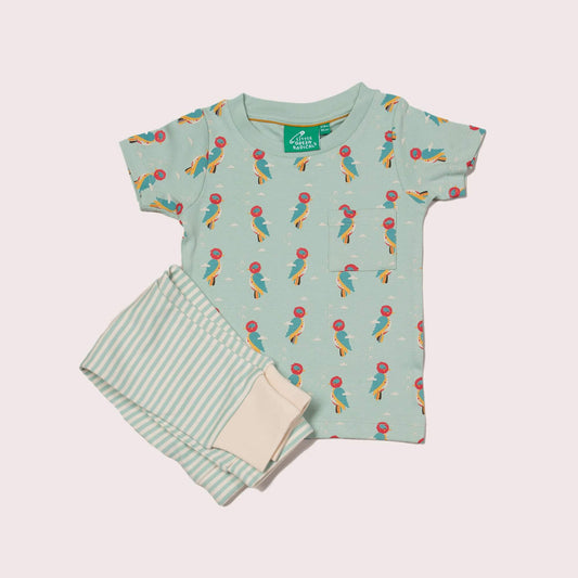 Little Woodpecker T-Shirt & Jogger Playset