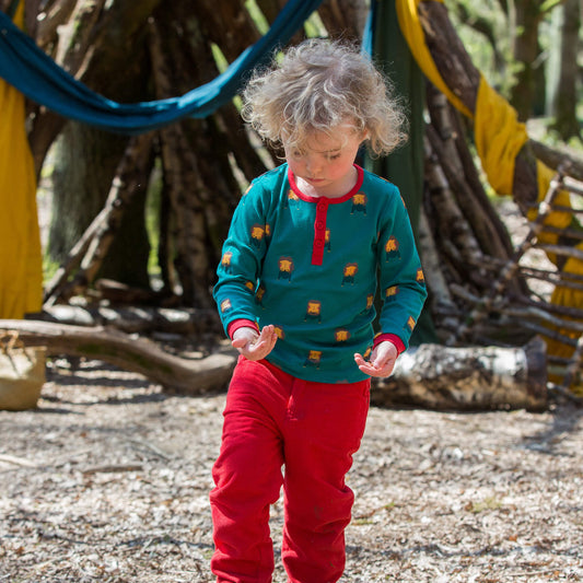 Mountain Lions Long Sleeve Henley Top