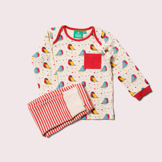 Rainbow Robins Organic T-Shirt & Organic Playset