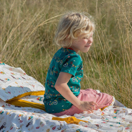 The Bear Jamboree Short Sleeve Henley Top